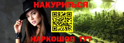 молекула духа Будённовск