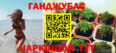 молекула духа Будённовск