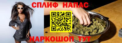 молекула духа Будённовск
