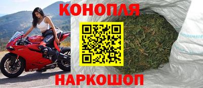 крисы Волгодонск