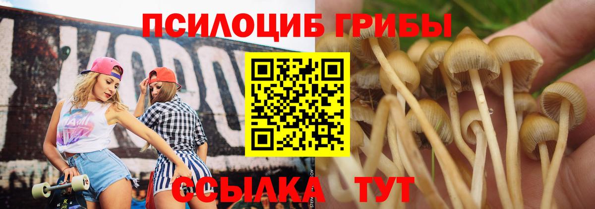 Псилоцибиновые грибы GOLDEN TEACHER Раменское